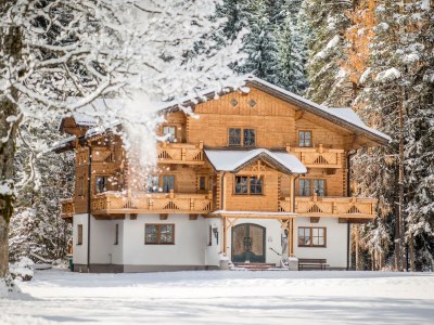 Holiday apartment in the wood house "Heimat" - Features photo 24