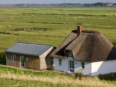 Holiday house Seegut in Westerhever - Holiday house