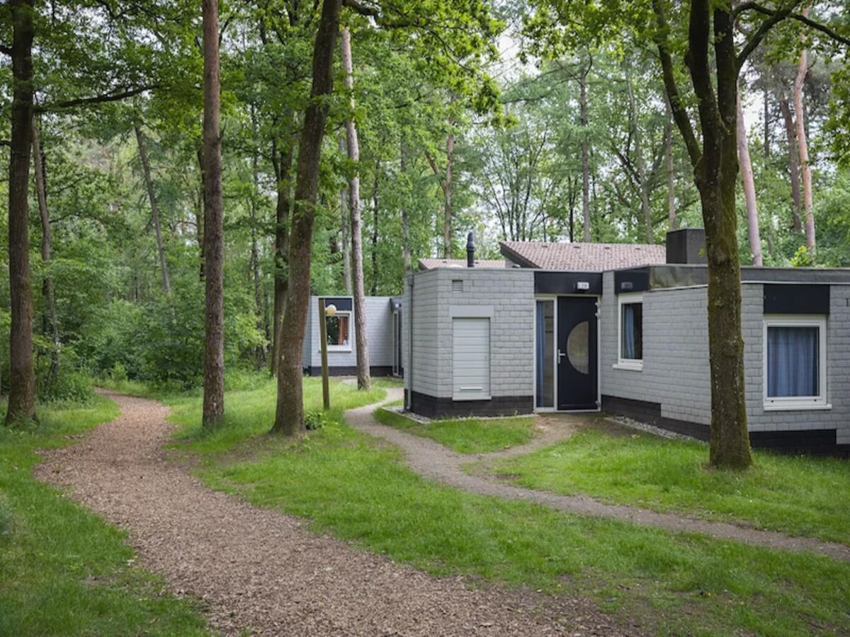 Holiday park Tranquil forest bungalow for couple