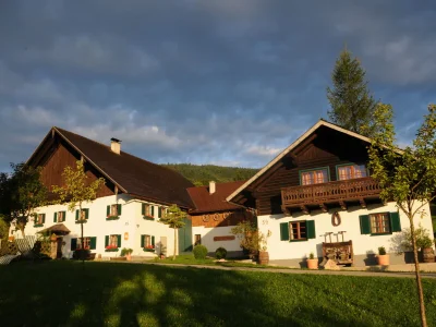 Holiday apartment Attersee - Outdoor photo 7