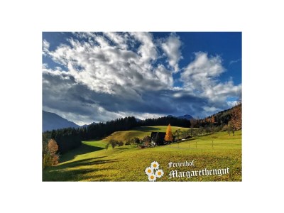 Holiday apartment Attersee - Outdoor photo 10
