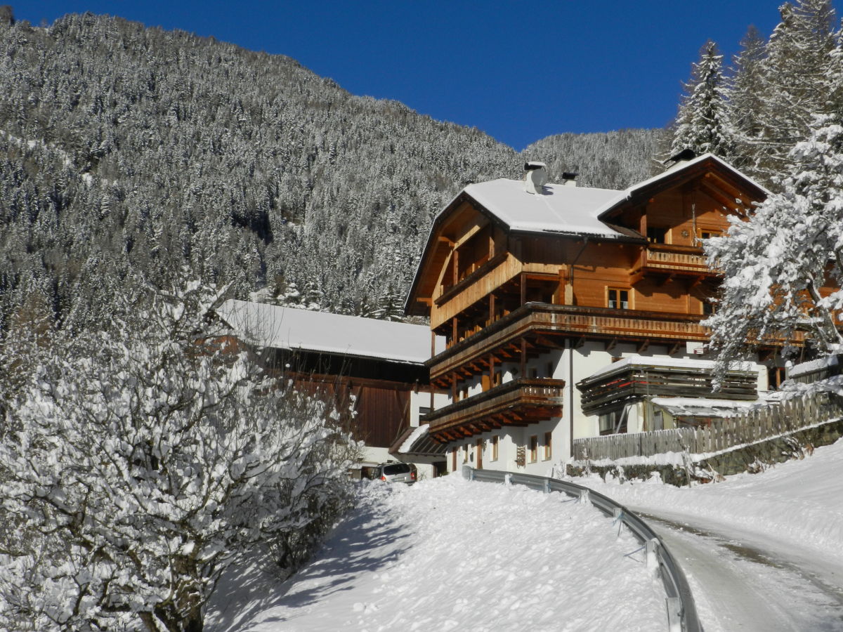 Holiday apartment Gedrarzerhof "Waldmelodie" - Outdoor photo 2