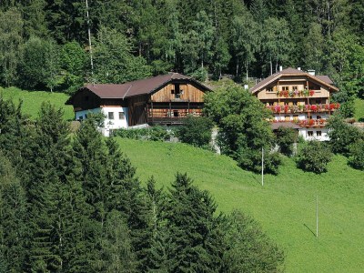 Holiday apartment Gedrarzerhof "Waldmelodie" in Lüsen - Holiday apartment