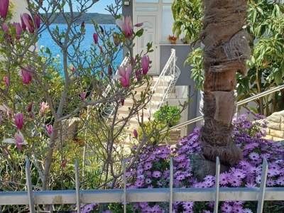 Apartment Three-Bedroom Apartment With Sea View (A2) - Outdoor photo 4