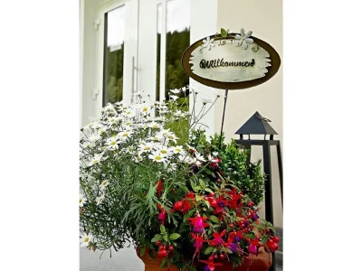 Apartment Bergkristall Alpenhof - Outdoor photo 15
