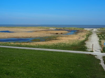 Holiday apartment Villa Wattenmeer - Environment photo 29