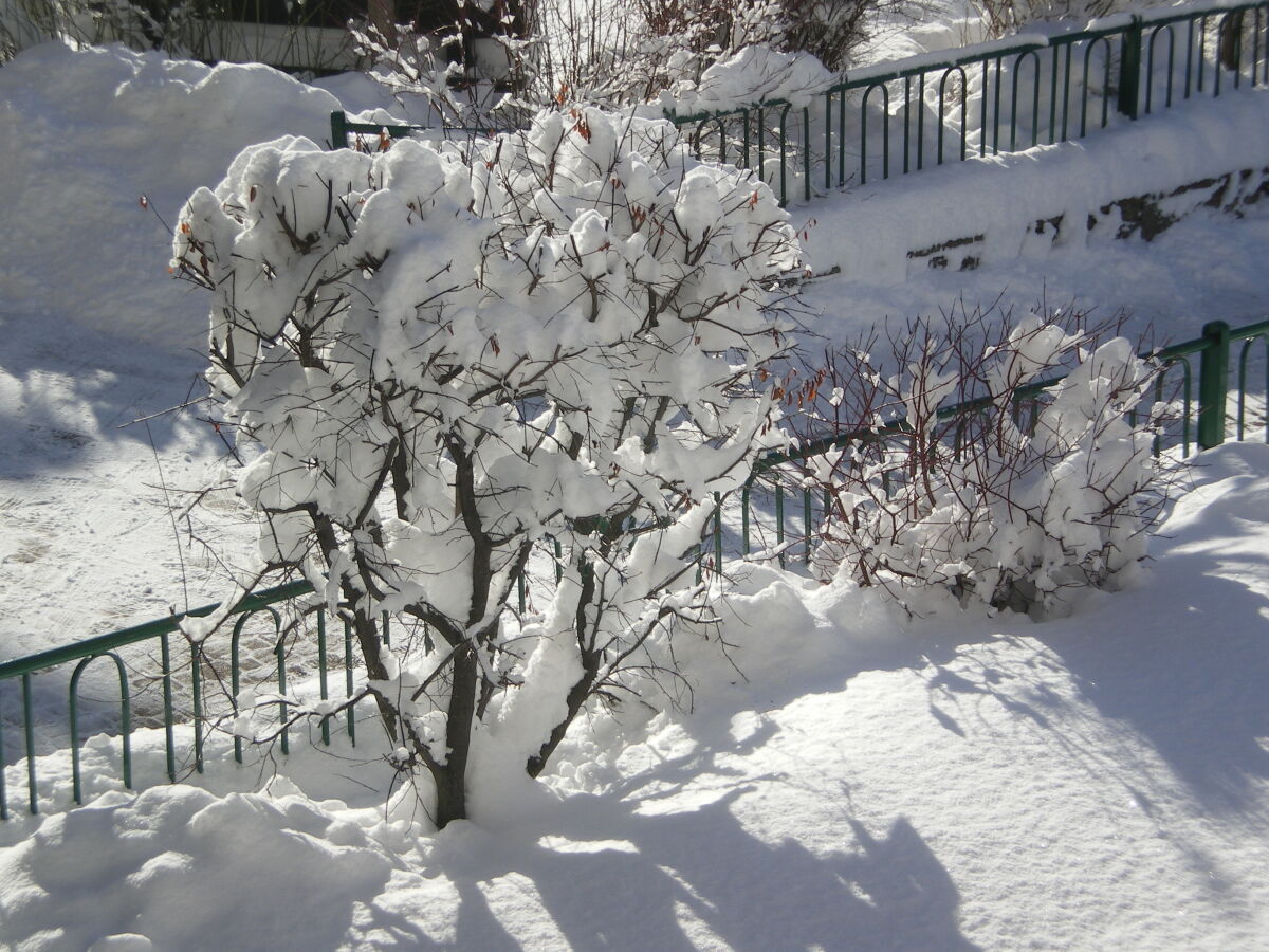 Apartment Apartment Suaut im Haus Mussner - Outdoor photo 4