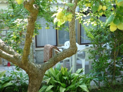 Holiday apartment Casa Furrer "EL" - Outdoor photo 2