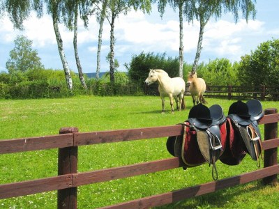 Holiday house Seepark Heidenholz, Plau am See - Outdoor photo 37