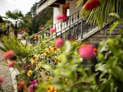 Holiday apartment for 4 guests - Outdoor photo 4