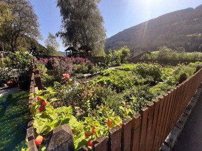 Holiday apartment for 4 guests - Outdoor photo 14
