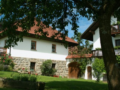 Farmhouse "Hofglück" holiday apartment on the farm - Outdoor photo 20
