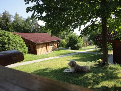 Holiday house Weil - Outdoor photo 6