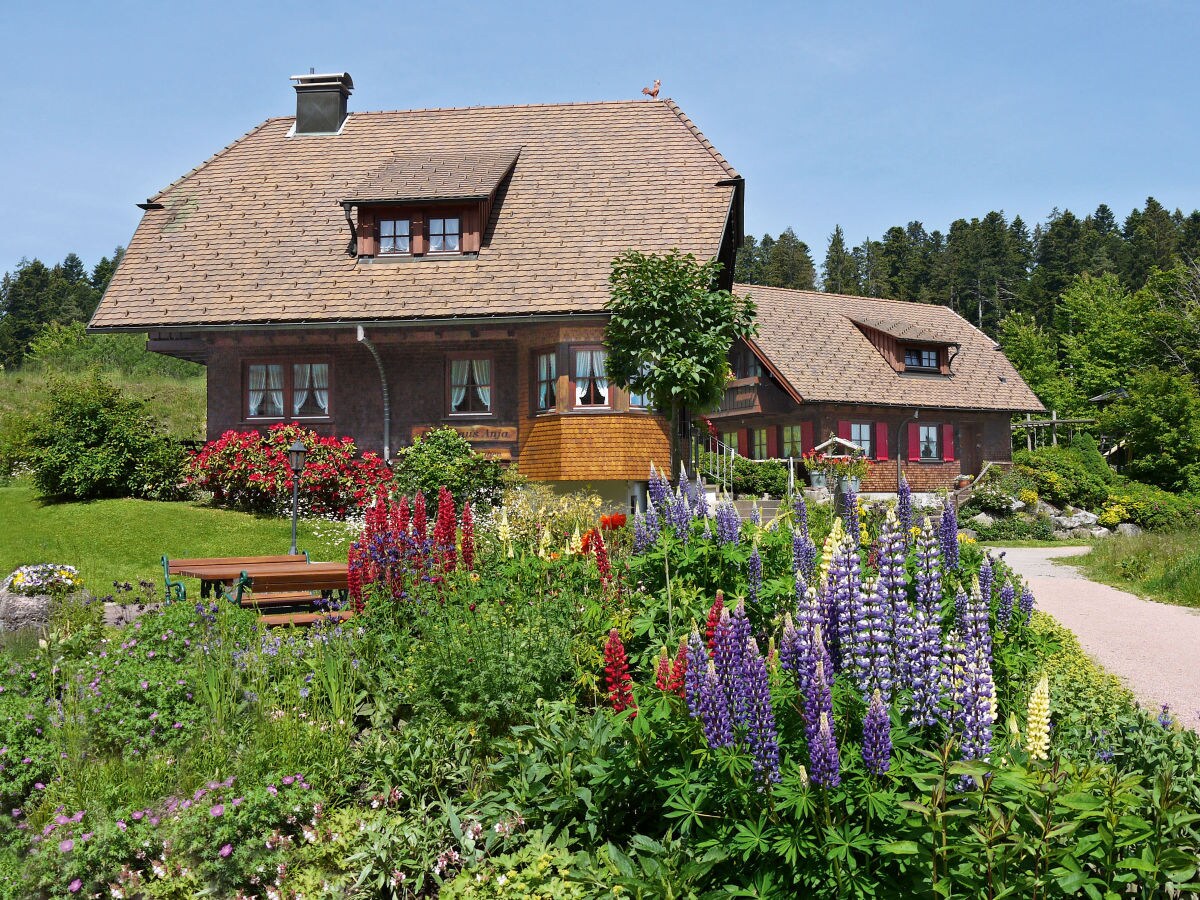 Holiday house Kienberg house - Landhaus Anja