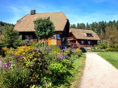 Holiday house Kienberg house - Landhaus Anja - Outdoor photo 5