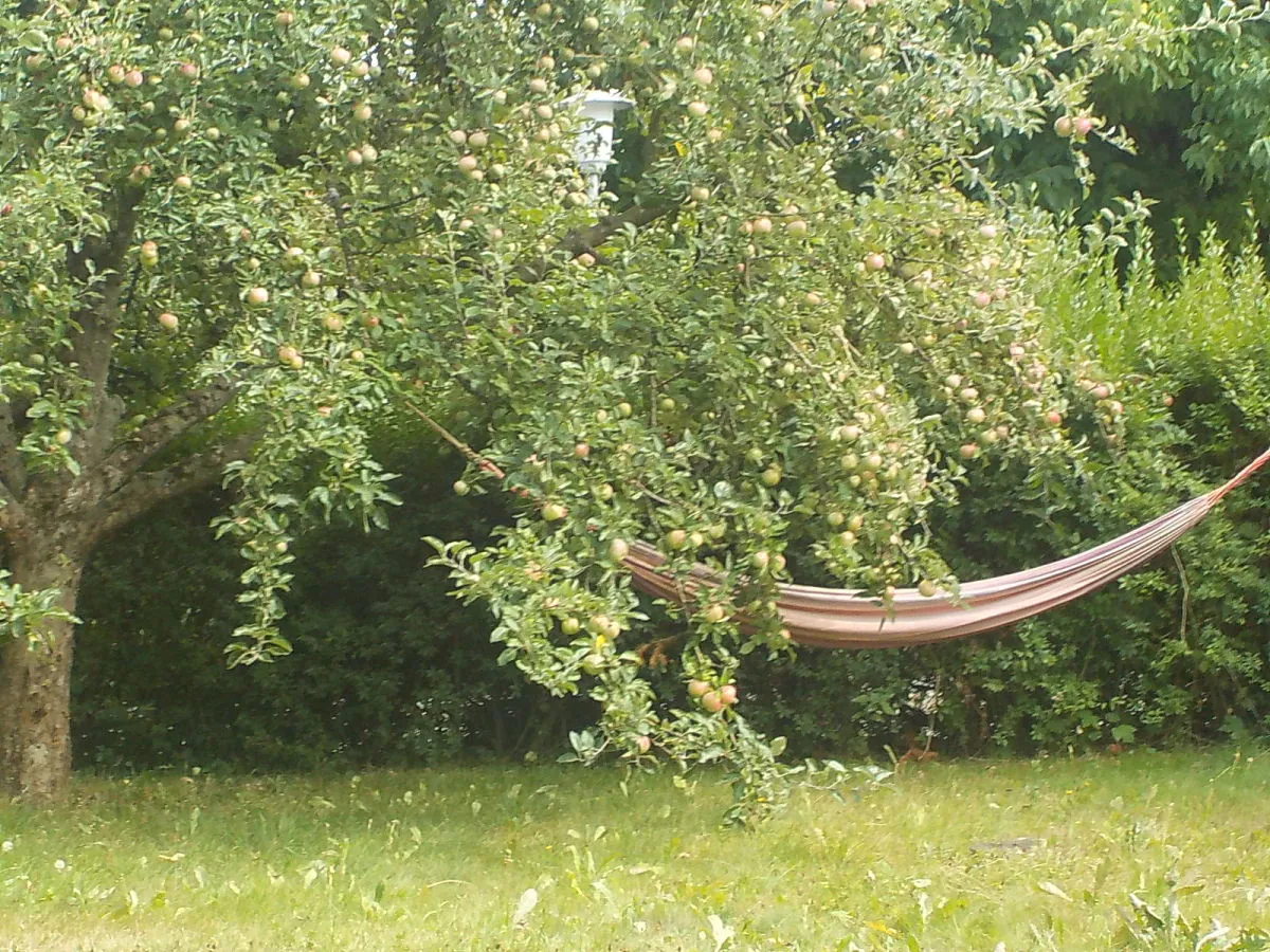 Holiday apartment Hilmer - Outdoor photo 3