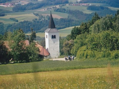 Holiday apartment Hilmer - Environment photo 16