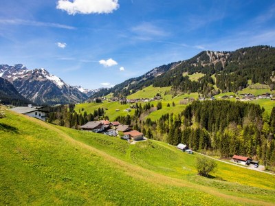 Holiday apartment Alma im Hoefle - Outdoor photo 8