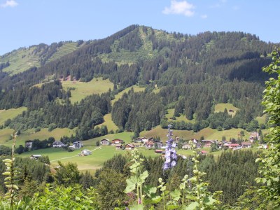 Holiday apartment 2 in the house "Harald Heim" - Outdoor photo 4