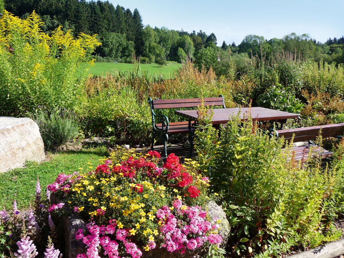 Holiday apartment Landhaus Anja - Outdoor photo 4