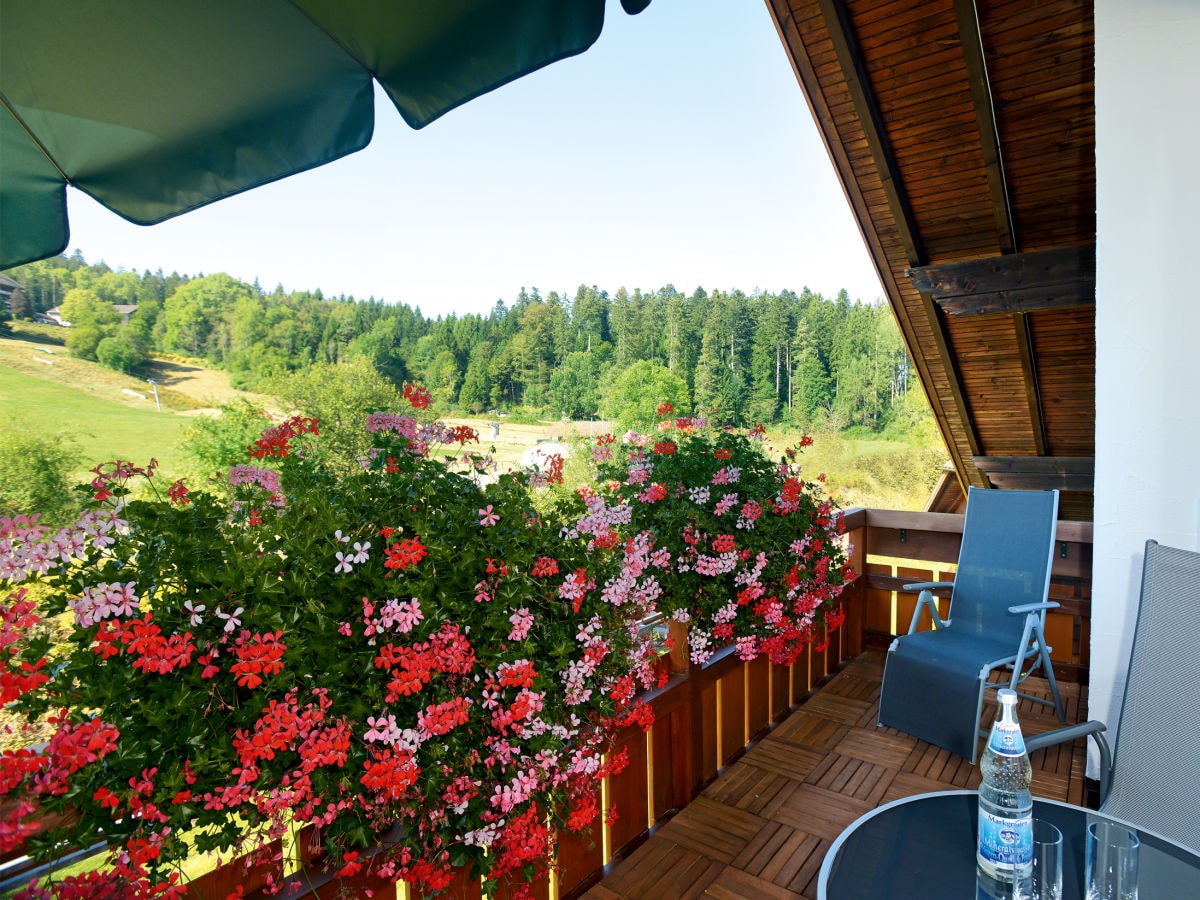 Holiday apartment Landhaus Anja - Outdoor photo 5