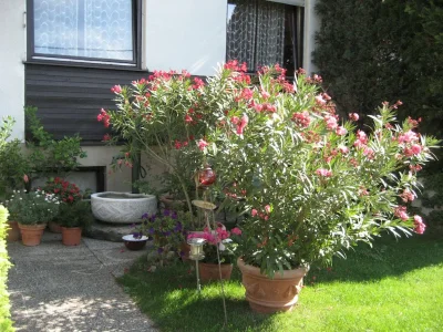 Apartment VIENNA WOODS, House "AM WIESENGRUND" - Outdoor photo 4