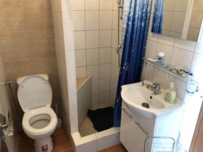 Apartment Apartmani Villa Borzic - One Bedroom Apartment with Terarce - Features photo 7