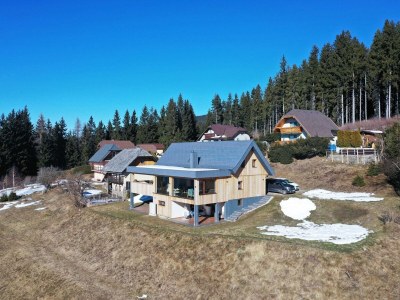 Apartment Mountain Vibrant and Timeless Apartment with Sauna - Studio Apartment with Terrace in St. Georgen in Lavanttal - Apartment