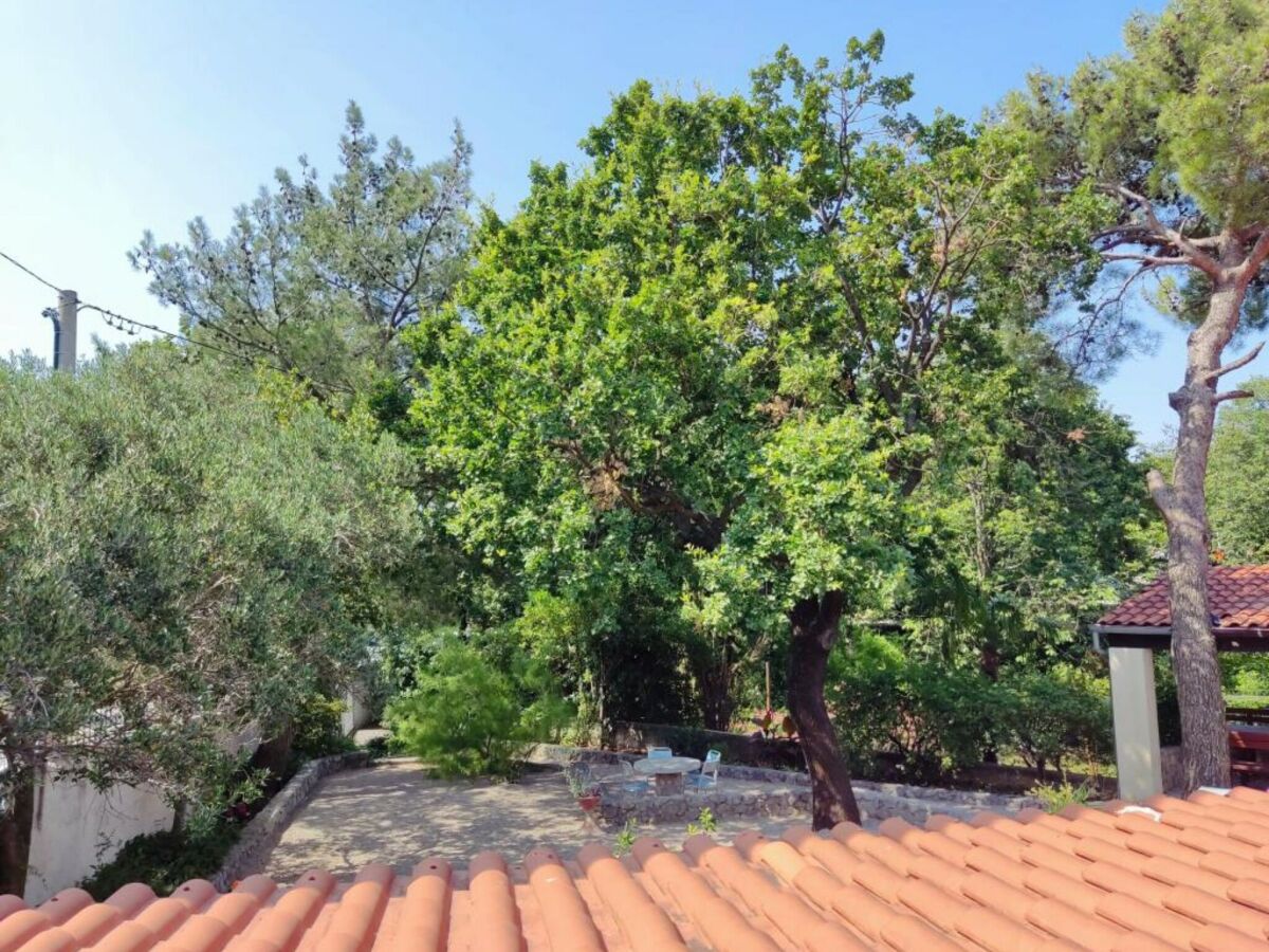 Apartment Apartment & Rooms Villa Oliva - Room 1