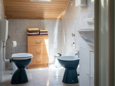 Apartment Green Area Apartments Kremžar - Attic Apartment With Balcony - Features photo 10