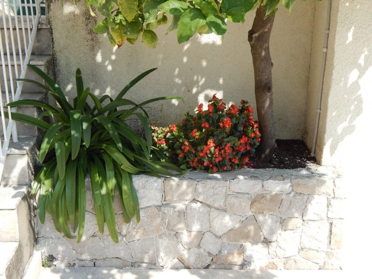 Apartment Apartments Lucija - One Bedroom Apartment with Terrace - Outdoor photo 4