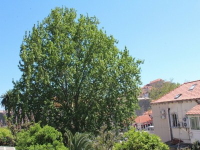 Apartment Guest House Gugily- Triple Room with Shared Bathroom and City View - Outdoor photo 24