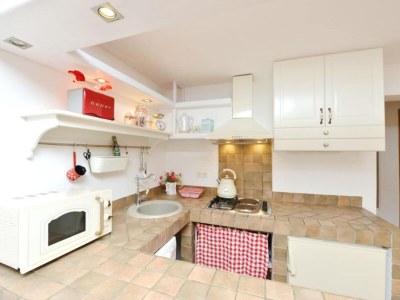 Apartment Bay House Rosohotnica - One Bedroom Apartment - Features photo 17