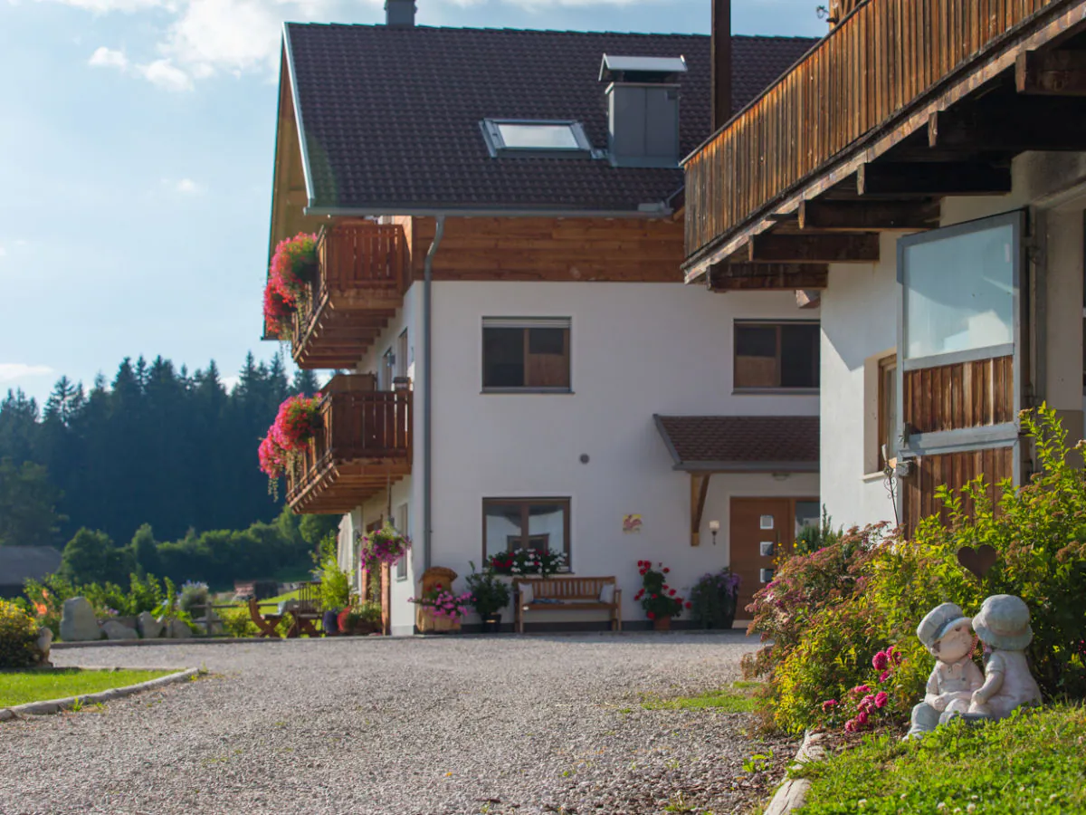 Holiday apartment Stoffnerhof - Outdoor photo 2