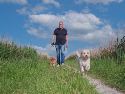 Holiday house Brekkense Wiel 127 - Environment photo 22