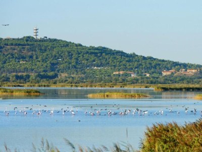 Holiday park Cap d’Agde Bungalow Retreat - Environment photo 9