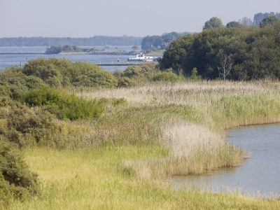 Holiday park Water Villa in Zeeland by Lake Veere - Environment photo 34