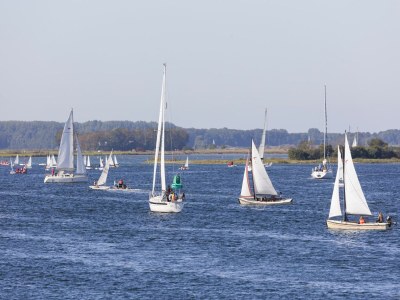 Holiday park Water Villa in Zeeland by Lake Veere - Environment photo 35