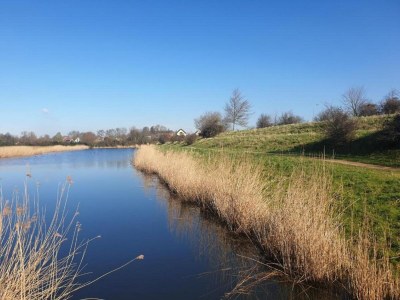 Holiday park Wasservilla in Zeeland am Veerse Meer - Environment photo 20