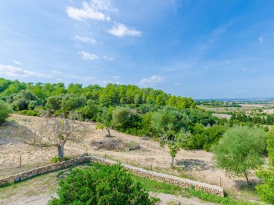 Finca Son Vell - Outdoor photo 18