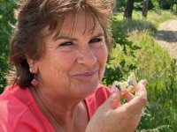 Linda Visser