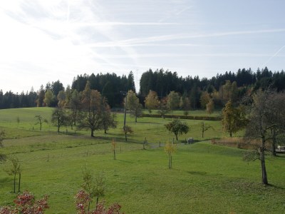 Holiday house Landhaus Seewald - Outdoor photo 18