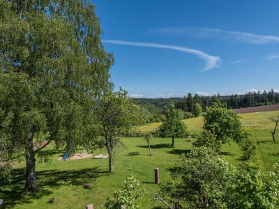 Holiday house Landhaus Seewald - Environment photo 66