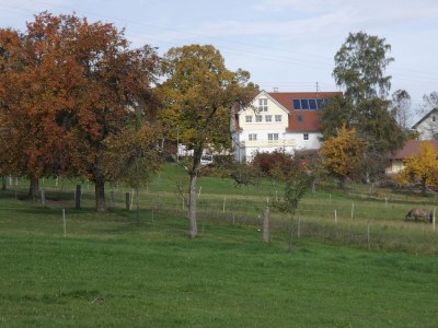 Holiday house Landhaus Seewald - Environment photo 68