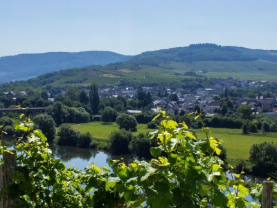 Holiday apartment Weisenstein in Mülheim an der Mosel - Holiday apartment