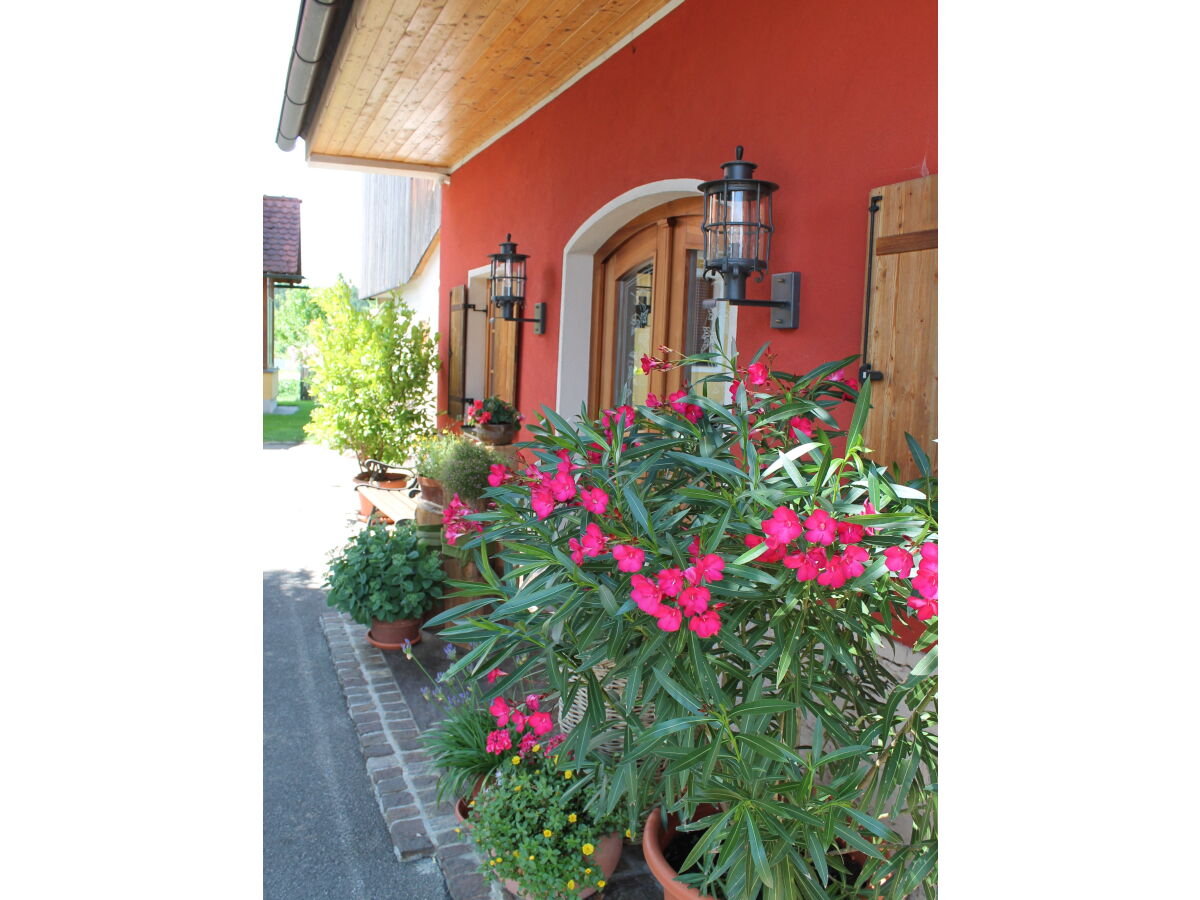 Holiday apartment Orchard at the Wurzerlhof - Outdoor photo 4