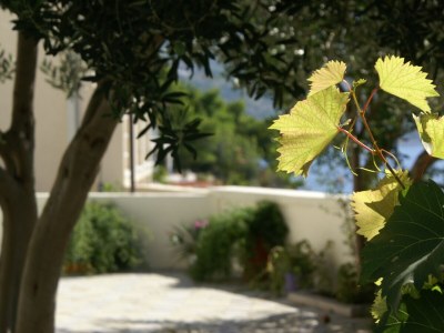 Apartment Two bedroom apartment with terrace and sea view Pisak, Omiš A-1004-c - Outdoor photo 39
