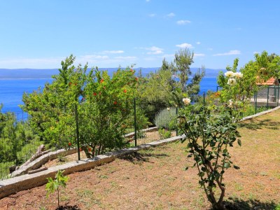 Apartment Studio flat with terrace and sea view Marušići, Omiš AS-1024-b - Outdoor photo 9