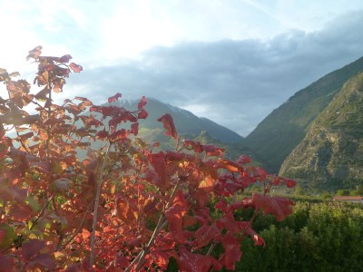 B&B Hochwart - Residence Hochwart - Environment photo 24