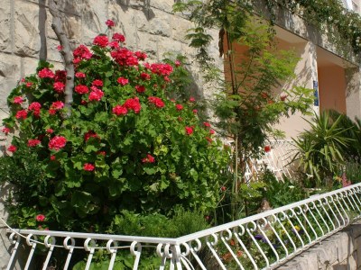 Apartment Two bedroom apartment with terrace Tučepi, Makarska A-2721-b - Outdoor photo 10